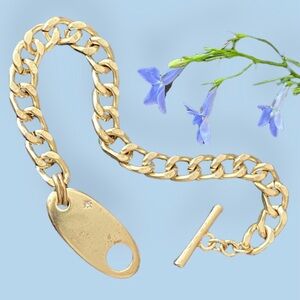 🌺HOST PICK🌺 Lucky Brand Toggle Link Bracelet